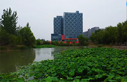 积云教育-郑州航空港校区-学生活动室